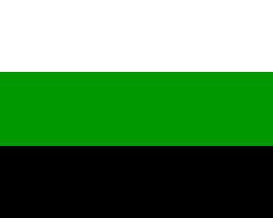 The Flag of Jarhaja